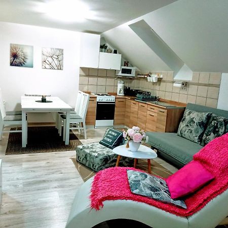 טרצ'ובה Apartman Romanna מראה חיצוני תמונה